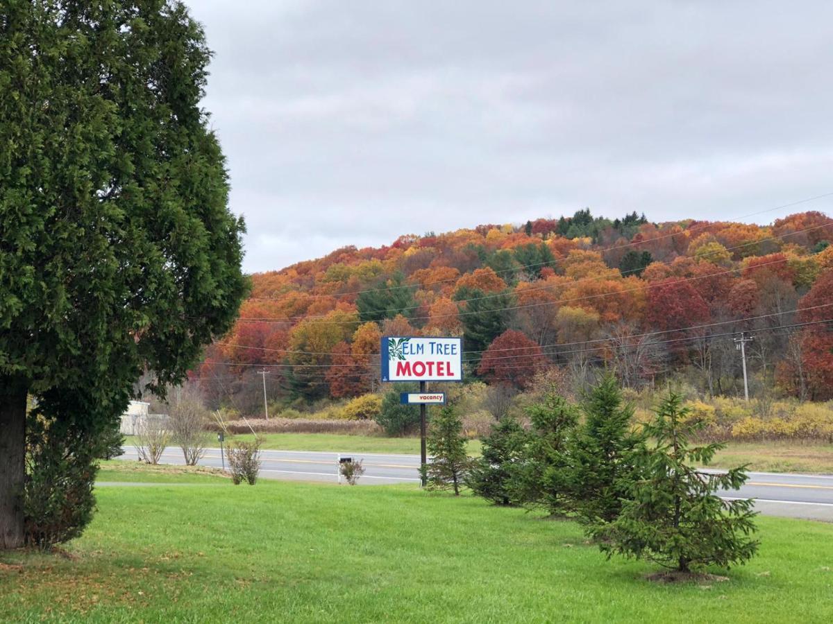 Elm Tree Motel Craryville Exterior photo